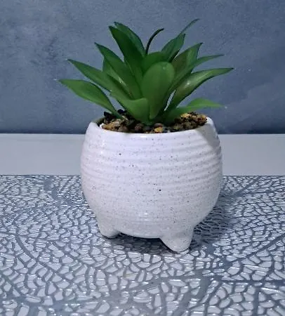 Zile Lejlighed Bačka Palanka