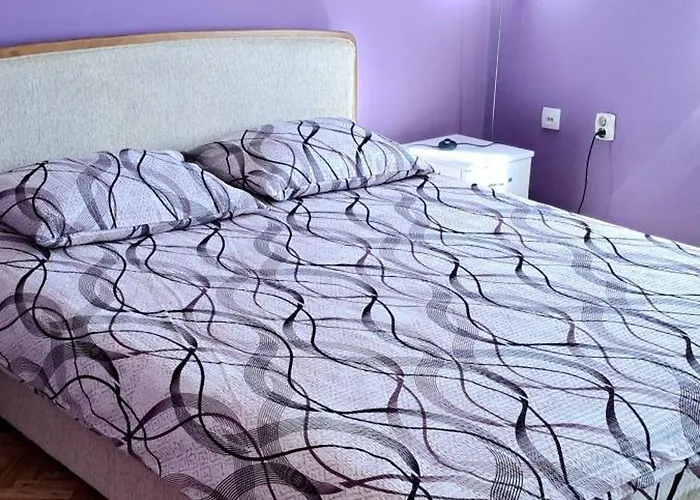 Daire žile Bačka Palanka